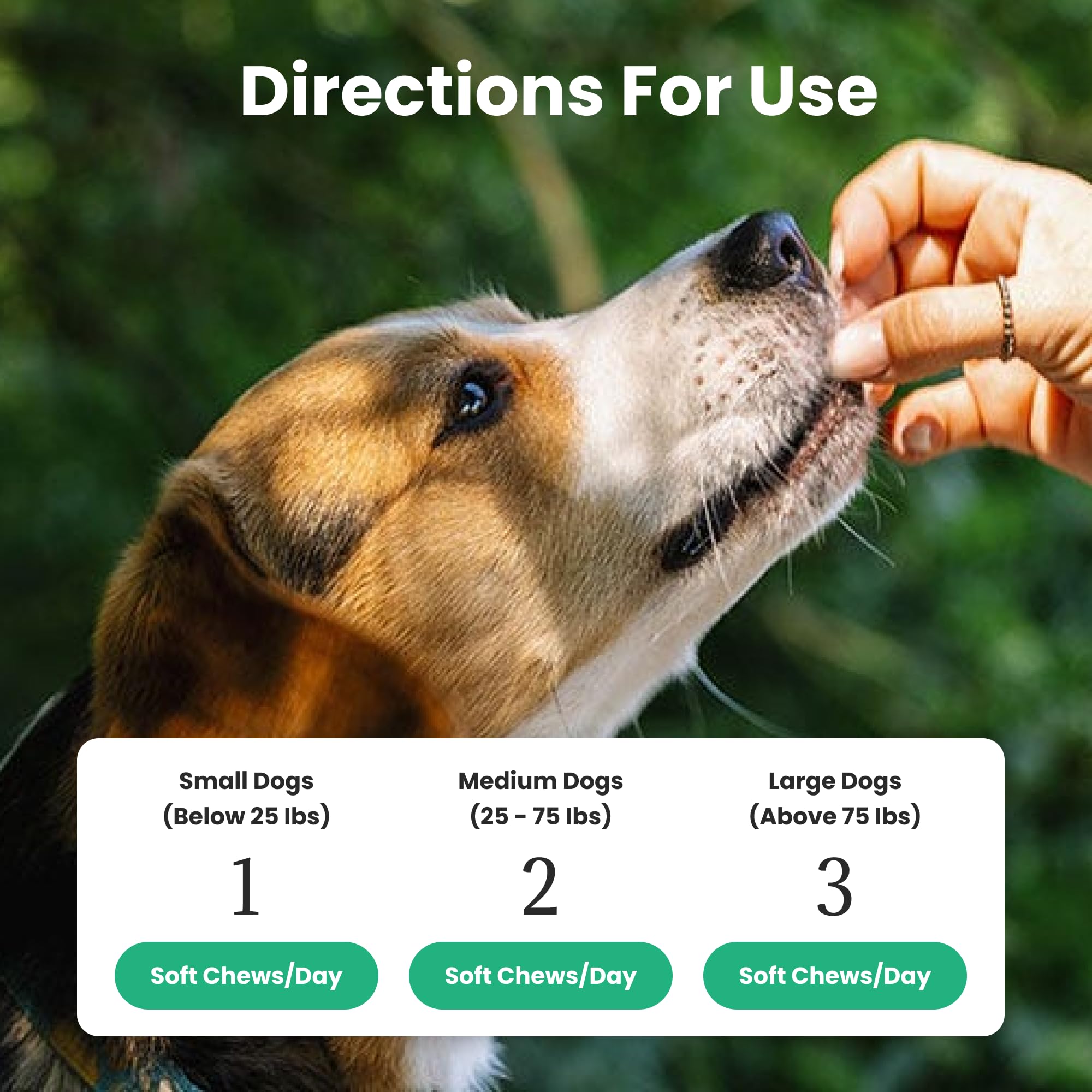 Dog Probiotics and Multivitamin Chews for Digestive Health, Immune Support, Gut Health, Allergy Support, Dog Vitamins, with Vitamin C, Omega 3, Colostrum, 60 Soft Chews per Jar — Amazon image 5