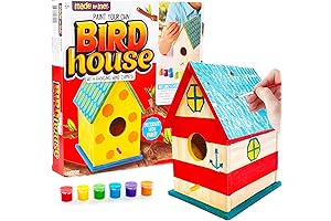 DIY Birdhouse Making Kit for Kids: Build & Paint Your Own Birdhouses