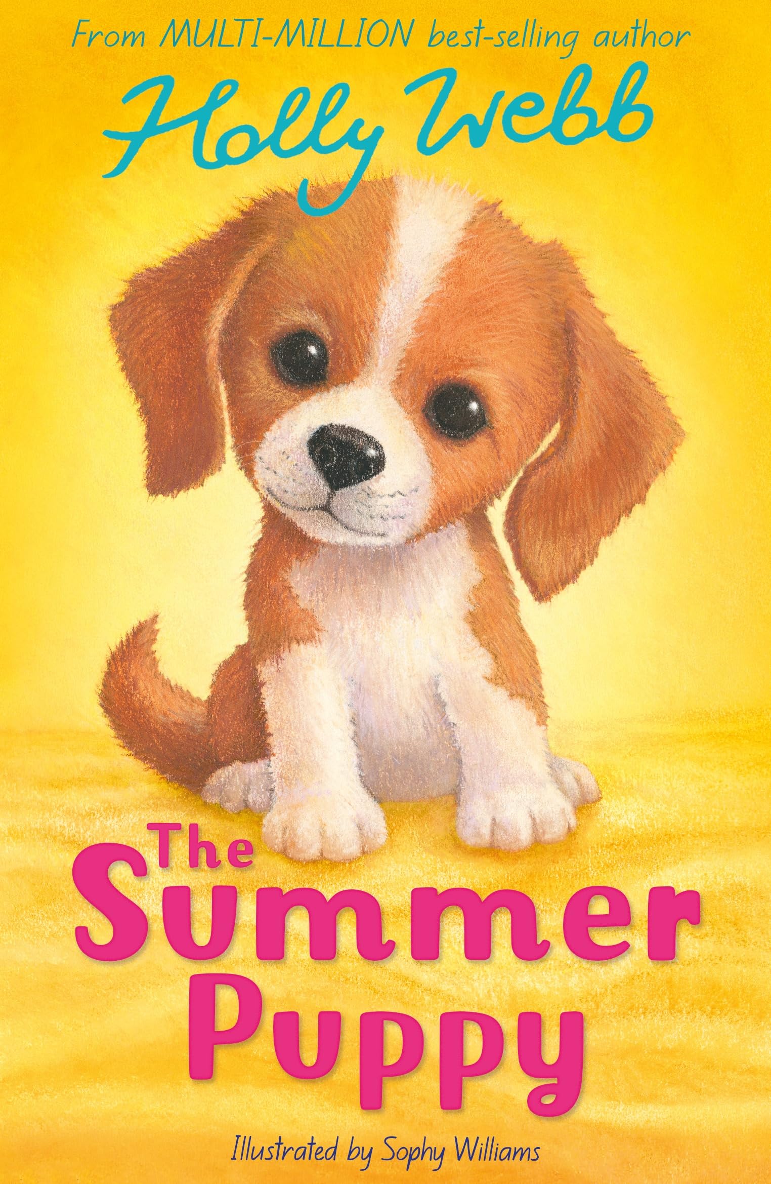 The Summer Puppy (Holly Webb: Animal Stories, 61)