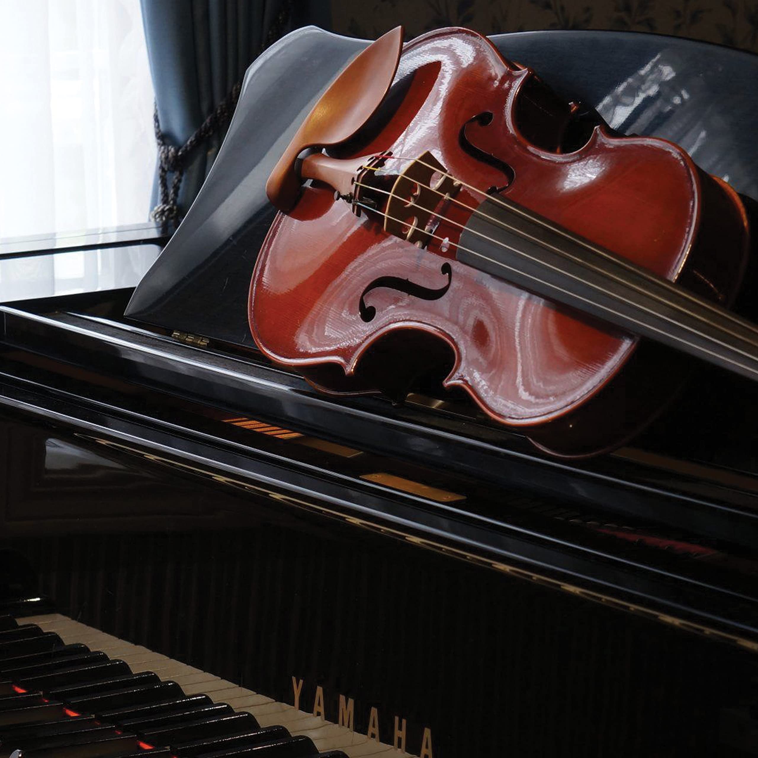 Marcos Vinicius Batista