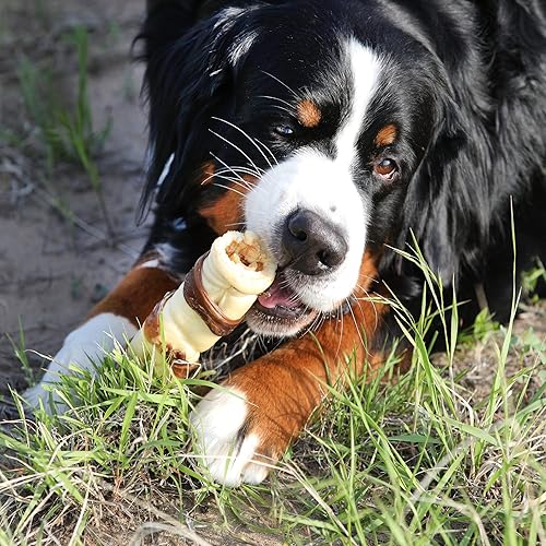 Miniatura 5 de Wild Eats - Rollo de mejillas de búfalo de agua de 9 pulgadas para perros tipo retriever, paquete de 3 (alternativa saludable para cuero crudo de