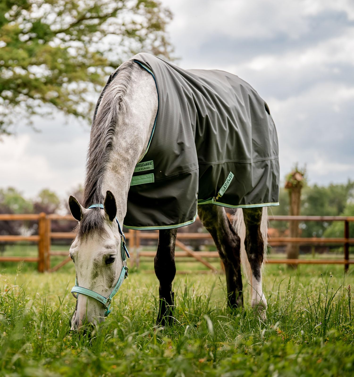 Horseware® Amigo® Hero Ripstop - Manta para caballo (50 g, ligera)