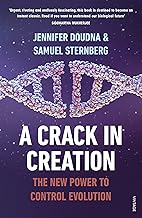 Crack In Creation