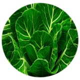 Benefits of Collard