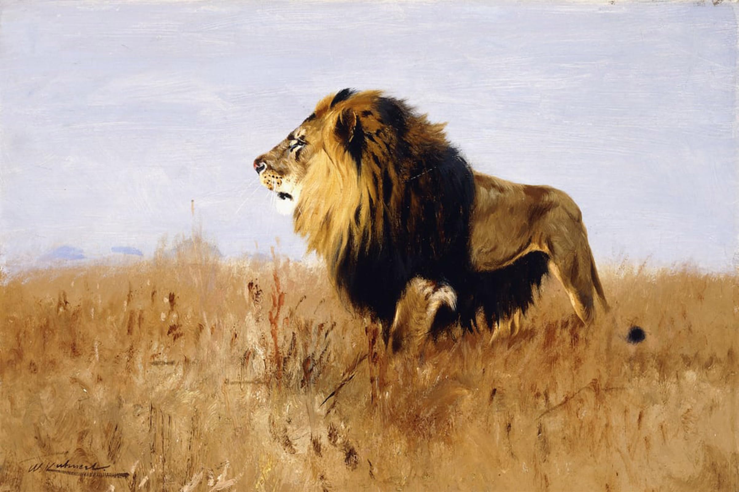 ARTXLXXBN Famous Painting Art Wall Decor Abstract Art Picture Lion Watching for Prey by Wilhelm Kuhnert Animal Pictures for Home Decor 60x90cm
