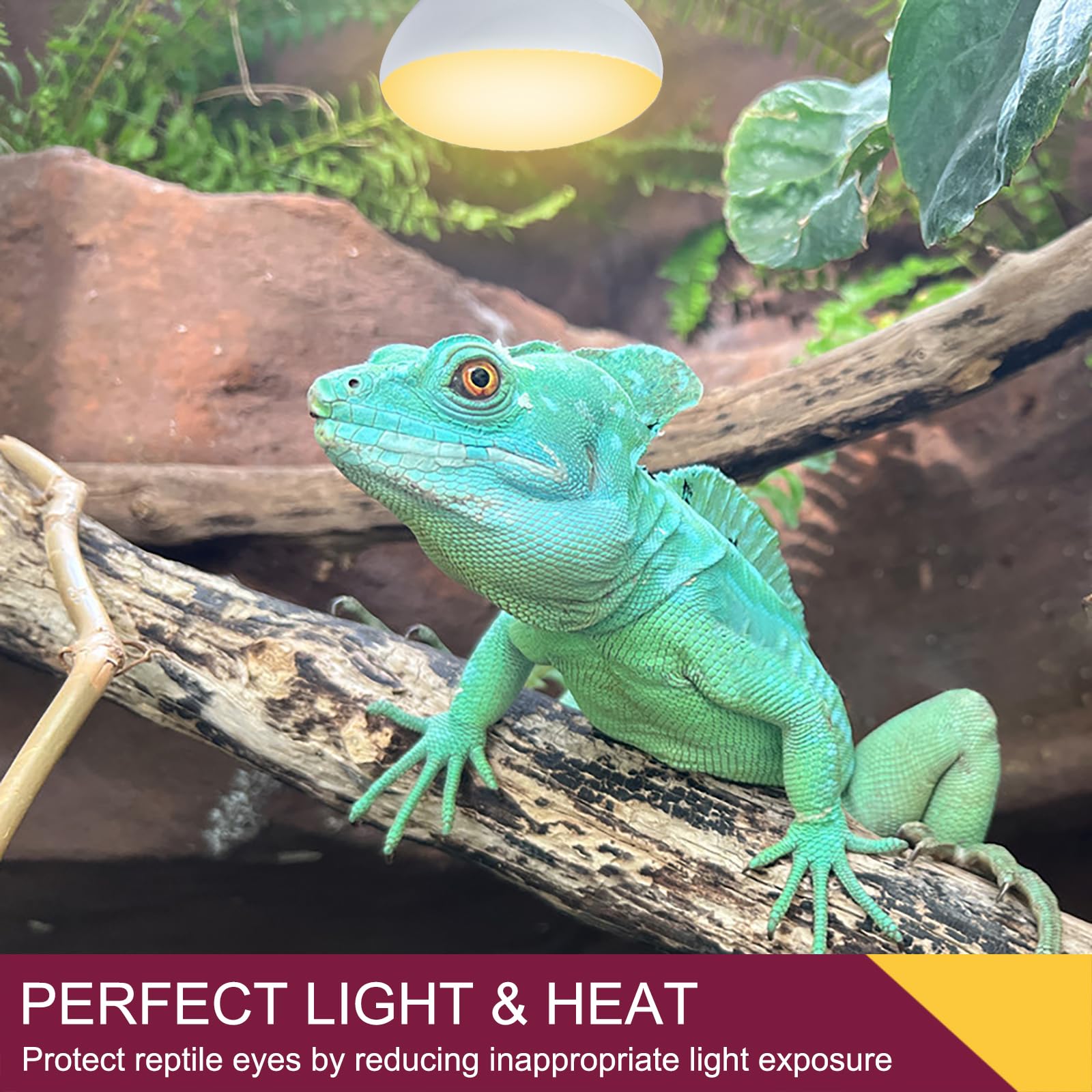REPTI HOME 150W Reptile Heat Lamp Bulb 2 Pack,Basking Spot Lamp Bulb for Reptiles & Amphibians，Reptile Daylight Heat Bulb for Bearded Dragon, Lizard, Turtle - image 6