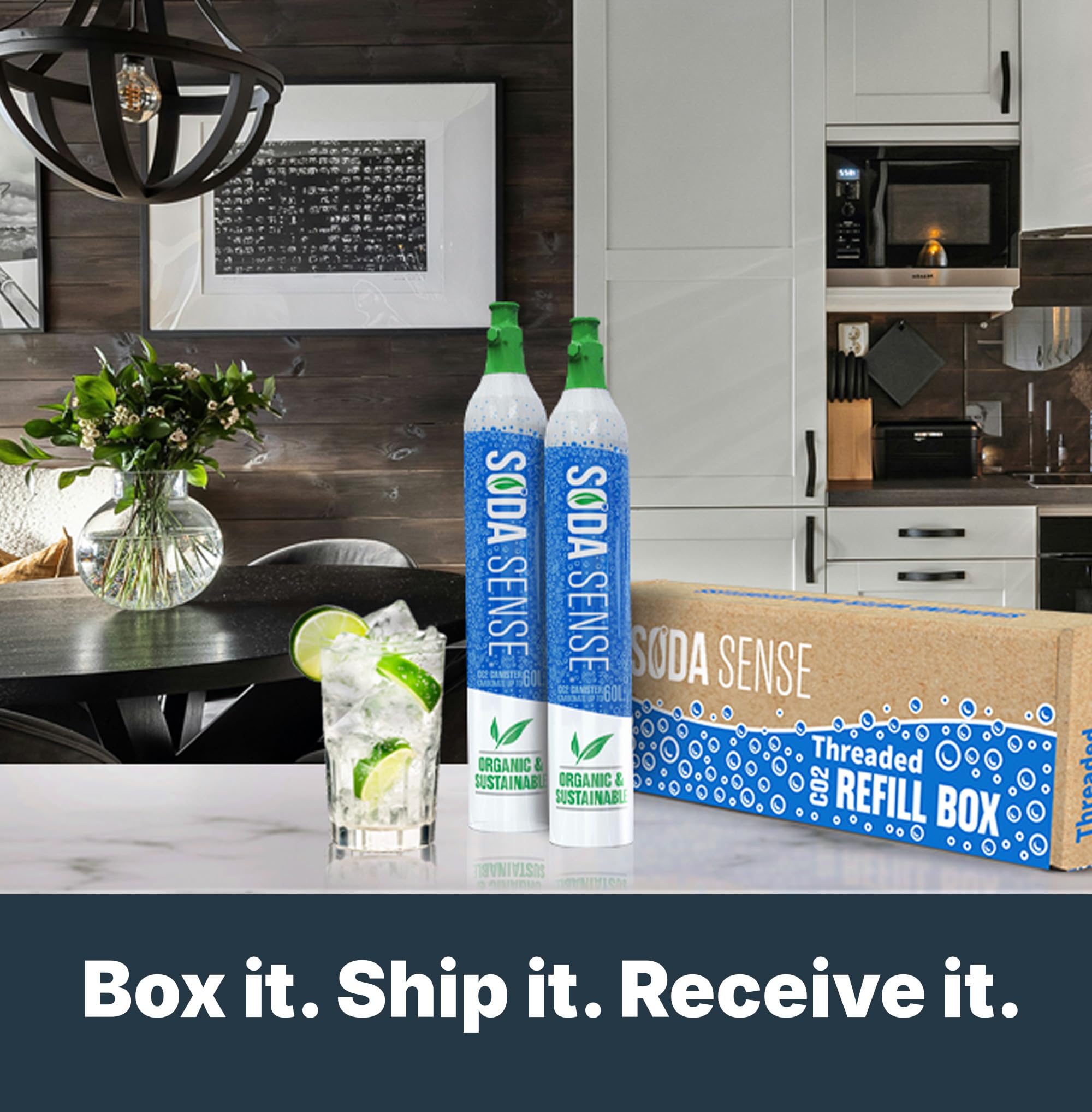 Amazon.com: Soda Sense 60L CO2 Exchange Canister - 3 Pack