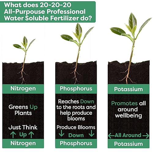 Miniatura 5 de 20-20-20 Fertilizante soluble en agua multiusos, alimentos vegetales, promueve el crecimiento de la biomasa y el color vibrante de las hojas,