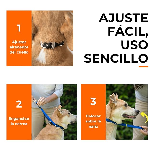 Foto 2 de 8 de Canny Collar Antitirones para Perros Que Tiran de la Correa, Negro Talla 3
