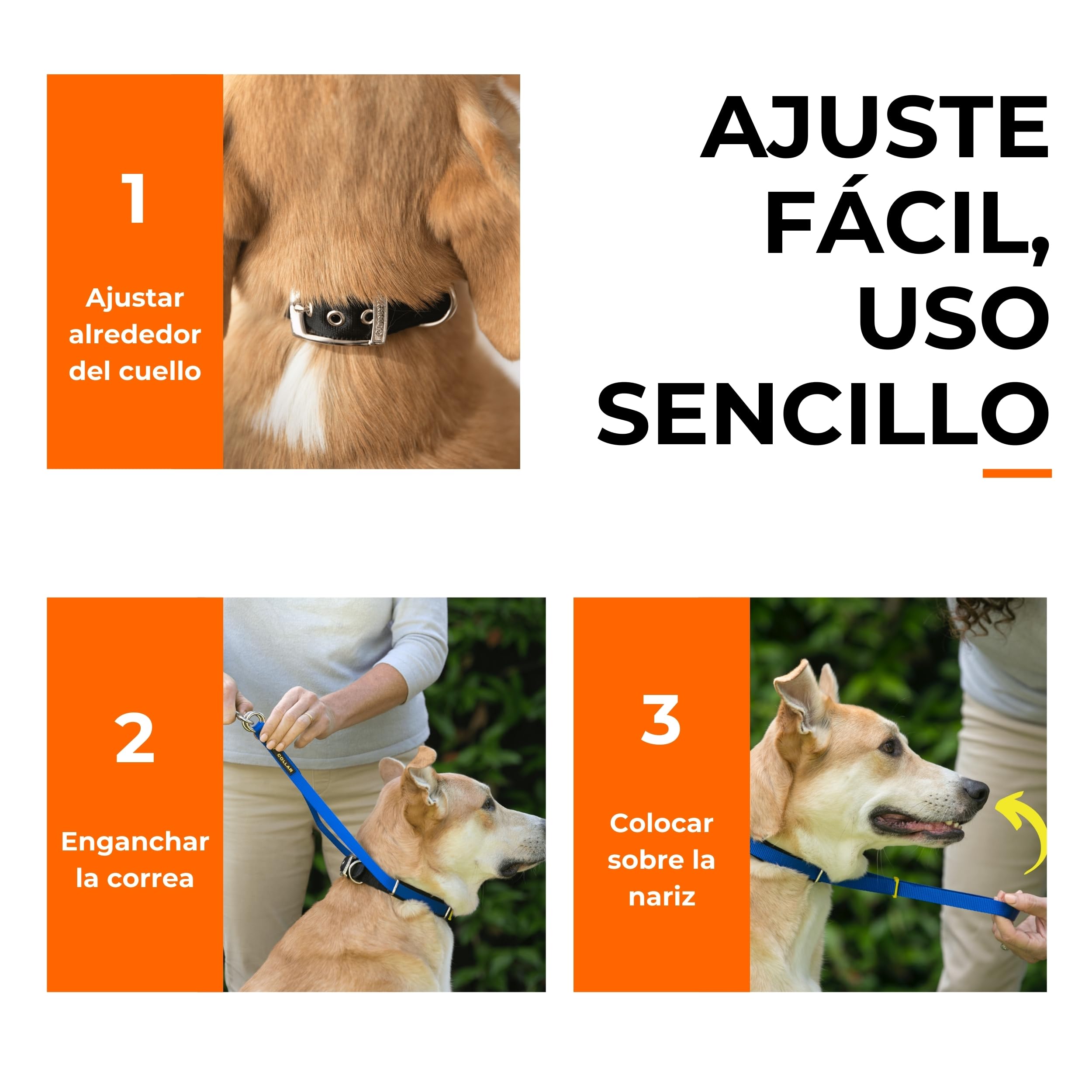 Canny Collar – Collar Antitirones de Cabeza para Perros Que Tiran | Arnés de Entrenamiento Suave y Seguro | Paseos Tranquilos sin Tirones – Azul, Talla 5