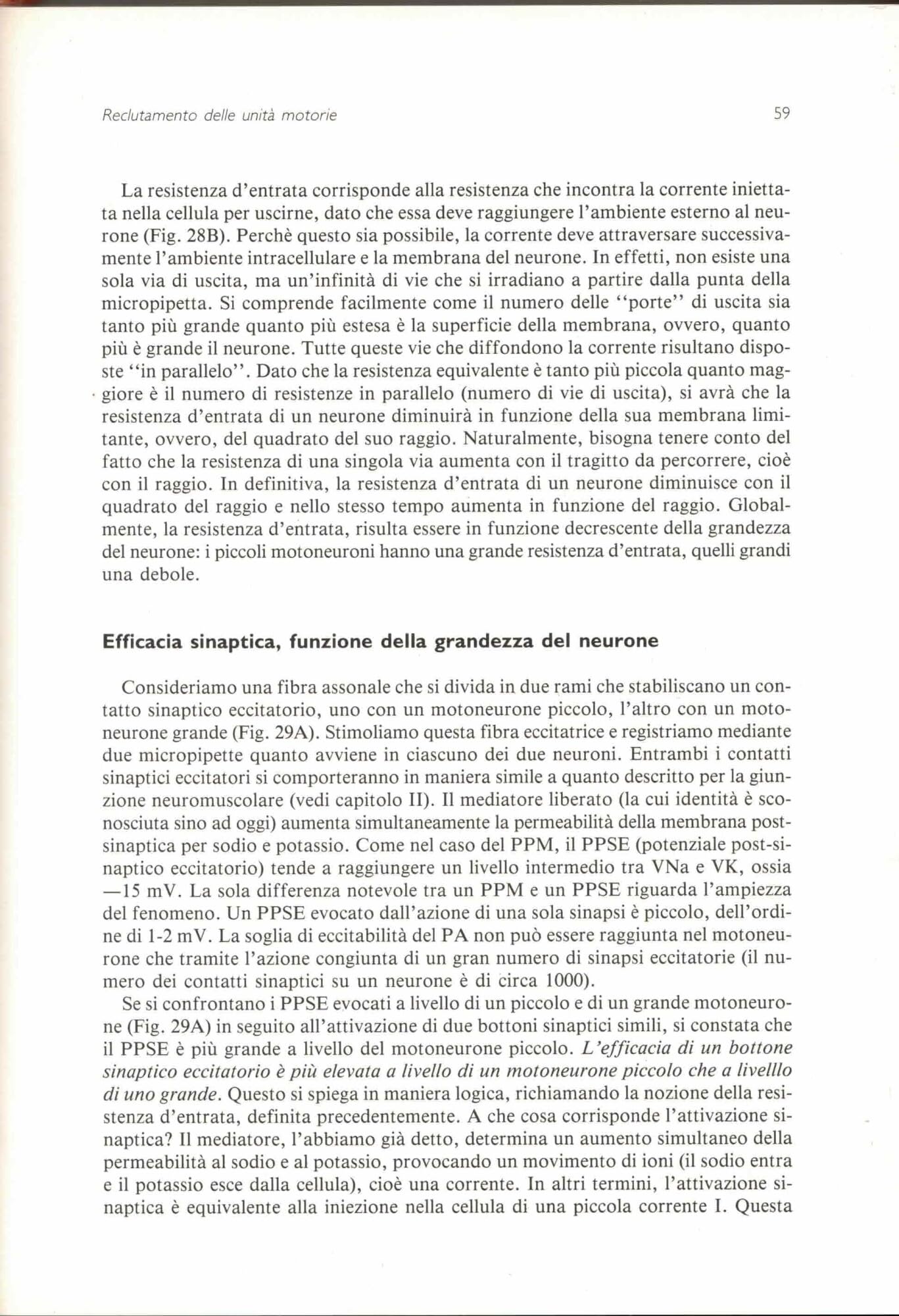 Elettromiografia. Semiologia e fisiopatologia