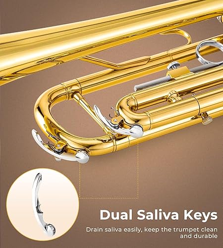 Miniatura 22 de Vangoa Trumpet Bb - Banda estándar para estudiantes escolares de latón para adultos y niños principiantes con soporte, estuche rígido, kit