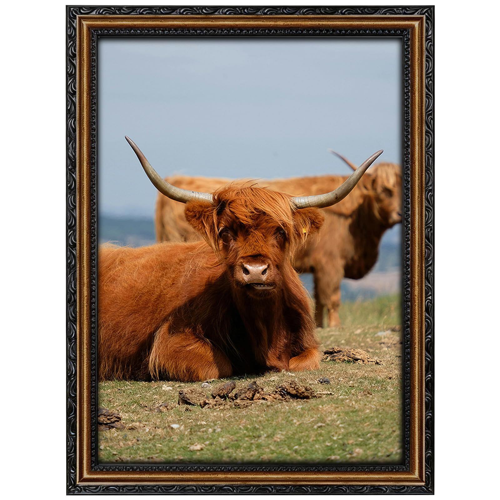 Cadre photo noir 33x48 cm bois vintage et verre véritable