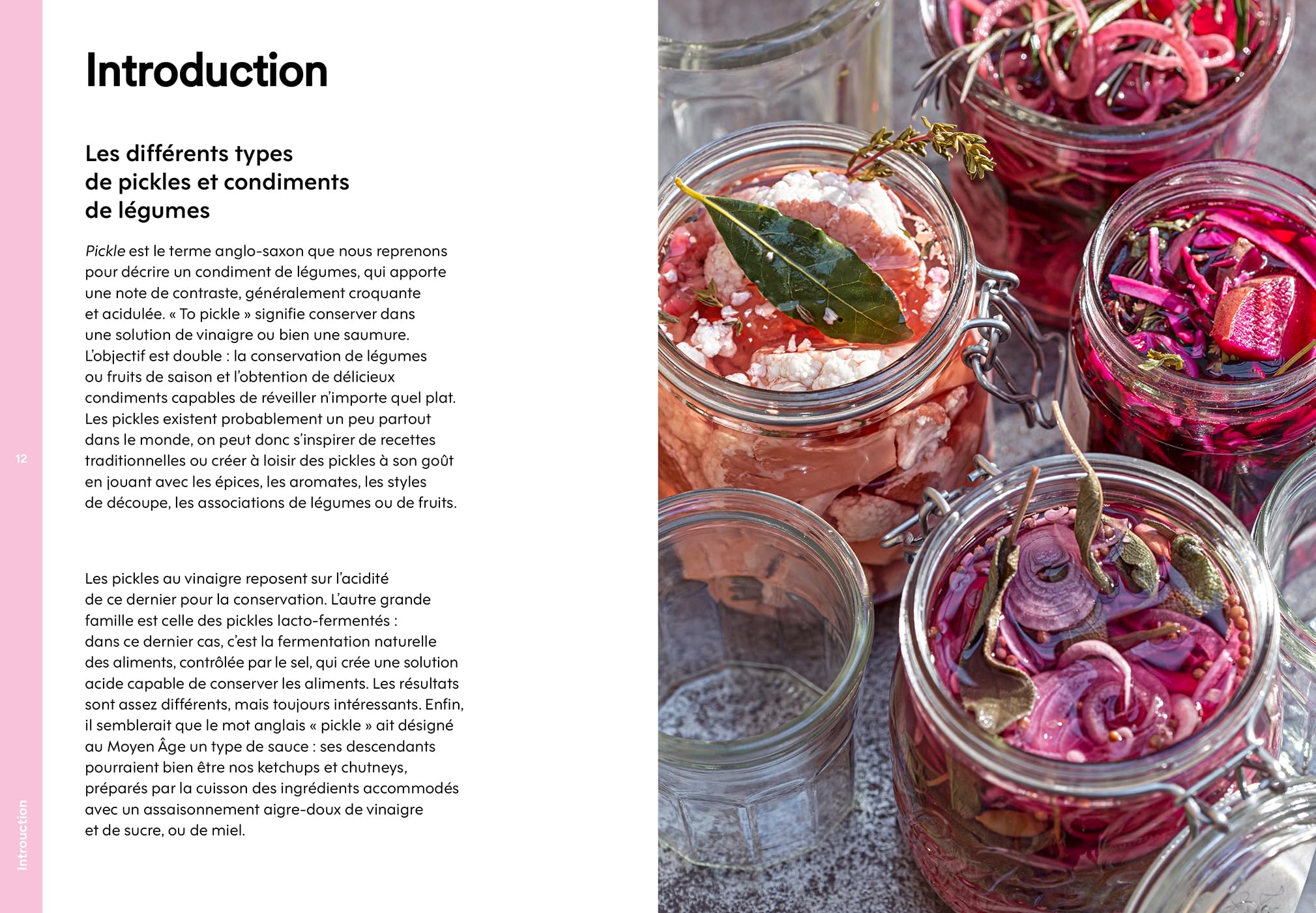 Le livre des condiments: 50 recettes de pickles, condiments et sauces pour rendre les plats inoubliables