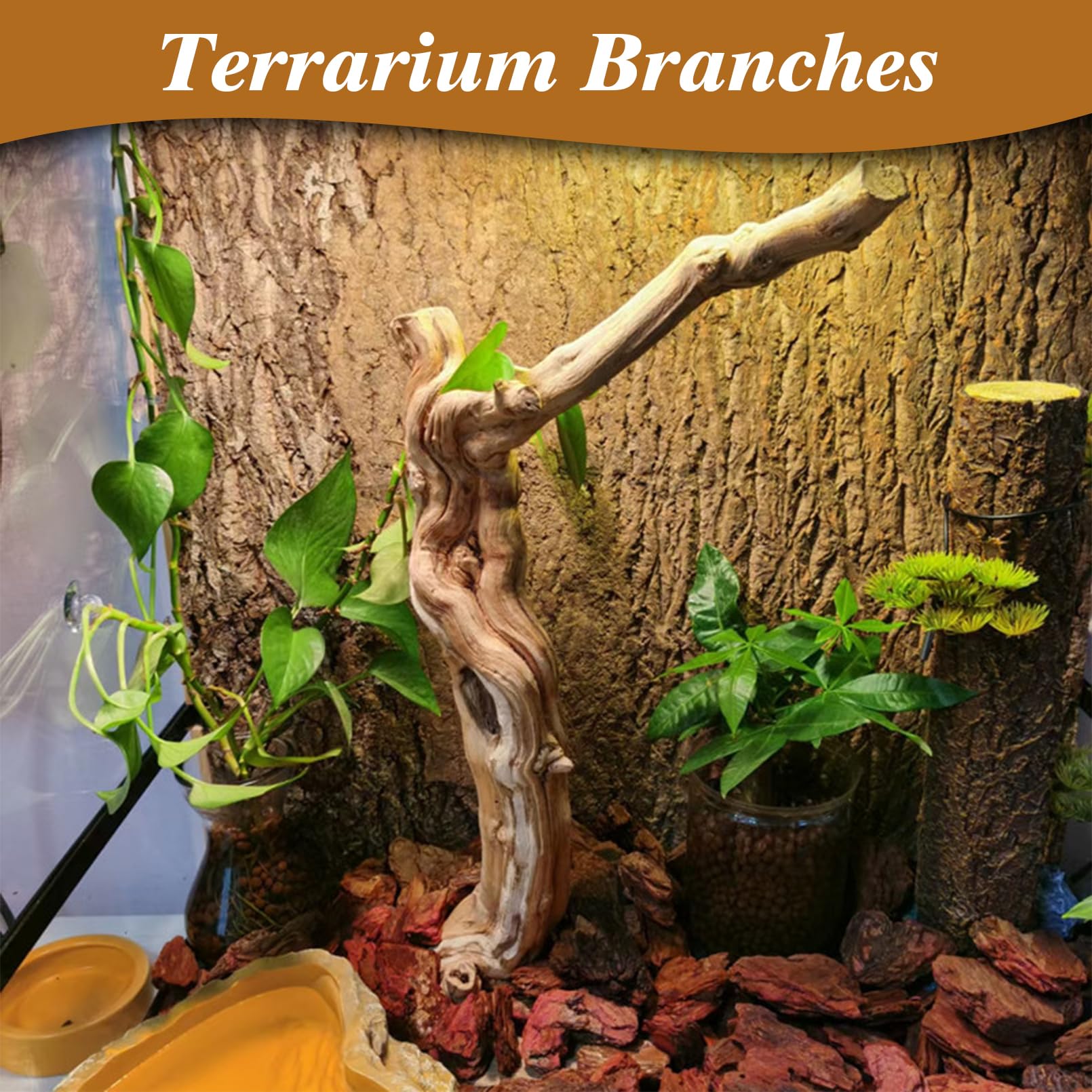 Apatal Kletterzweige Für Reptilien-Terrarium - 4 Natürliche Holzzweige Für Bartagamen, Chamäleon & Geckos