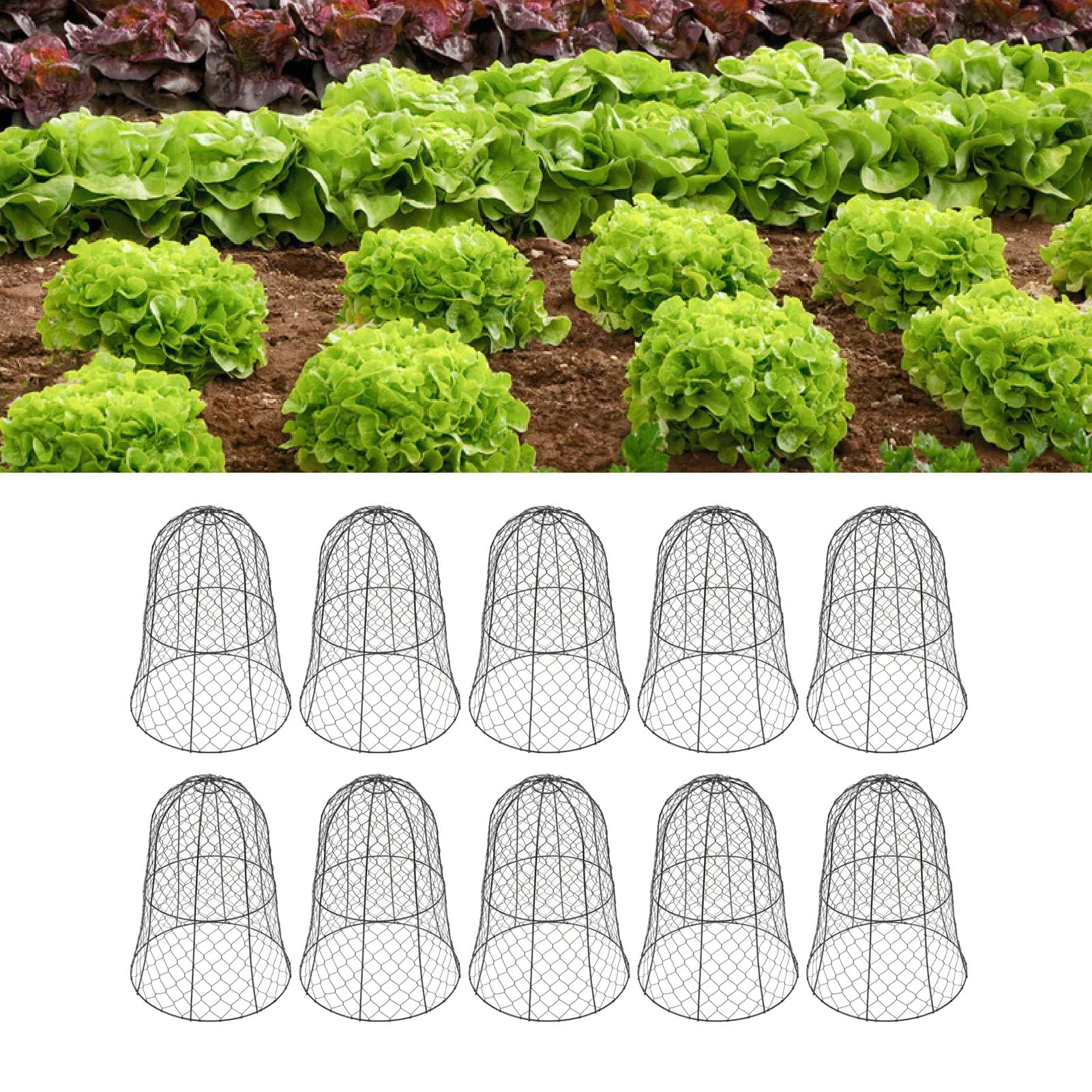 10 Stück Hühnerdraht Glocke Pflanzenschutz, Garten Pflanzenschutzkäfig, Bell Shaped Hühnerdraht Cloche mit Hakenring, Schutz für Ihre Pflanzen und Setzlinge