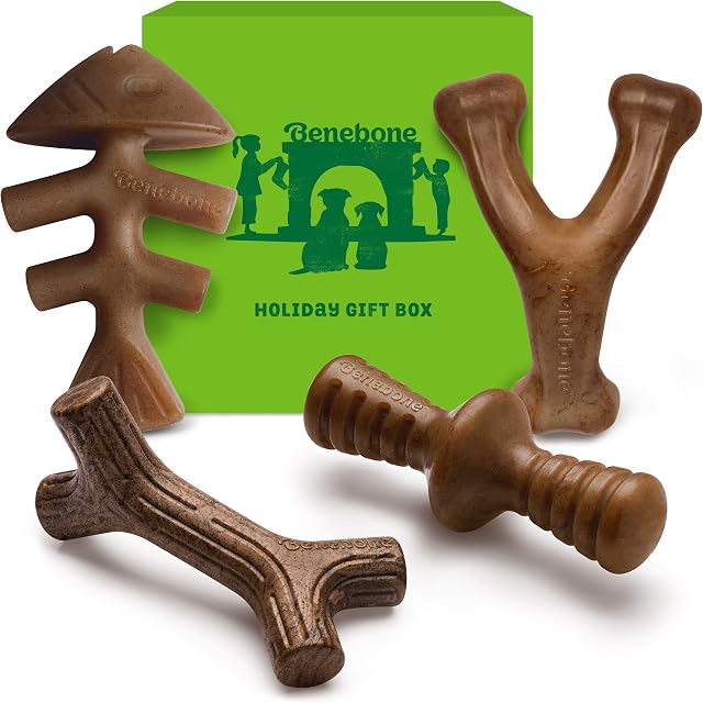 Benebone Durable Dog Chew Toy Box for Aggressive Chewers with Wishbone, Fishbone, Stick & Zaggler, Small