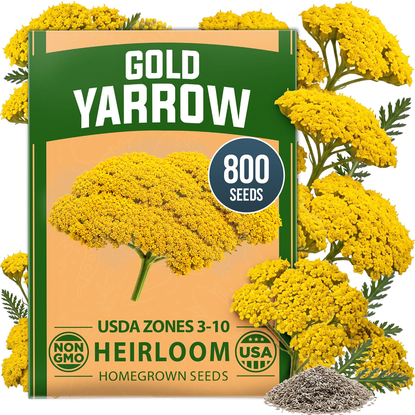 HOME GROWN Yarrow Seeds, Gold, 800 Seeds, Achillea filipendulina
