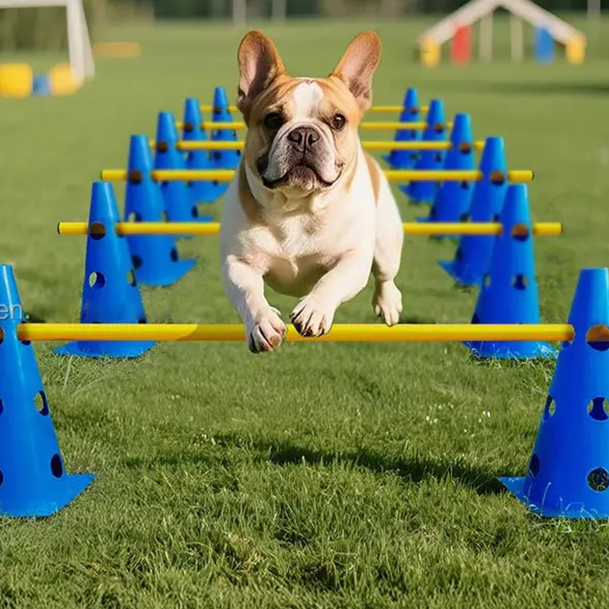 Hunde-Hindernisparcours-Set, Welpenspielhalle, verstellbare Hürden und Trainingsgeräte für den Hinterhof, blaue Kegel und gelbe Stangen (9, 06 Zoll Kegel, 39, 37 Zoll Stangen), Hundeübungsgeräte