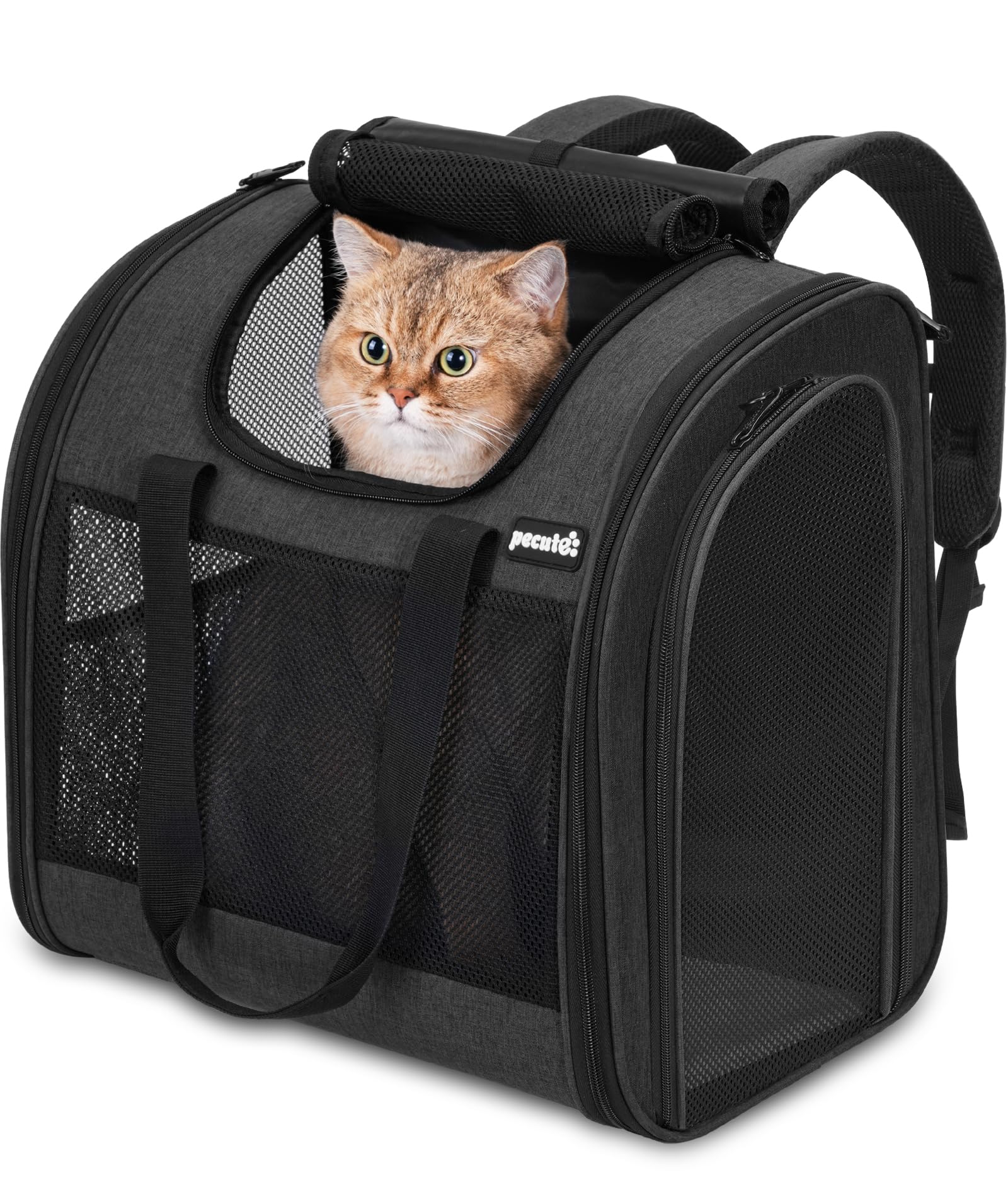 Pecute Zaino per Gatti & Cucciolo,con Disegno Ampliato e Design Ventilato, Pieghevole, con Cinghia di Sicurezza, Grigio Scuro