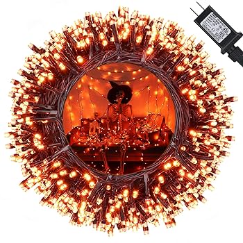Amazon.com: Orange Halloween Lights, 114ft 300 LED