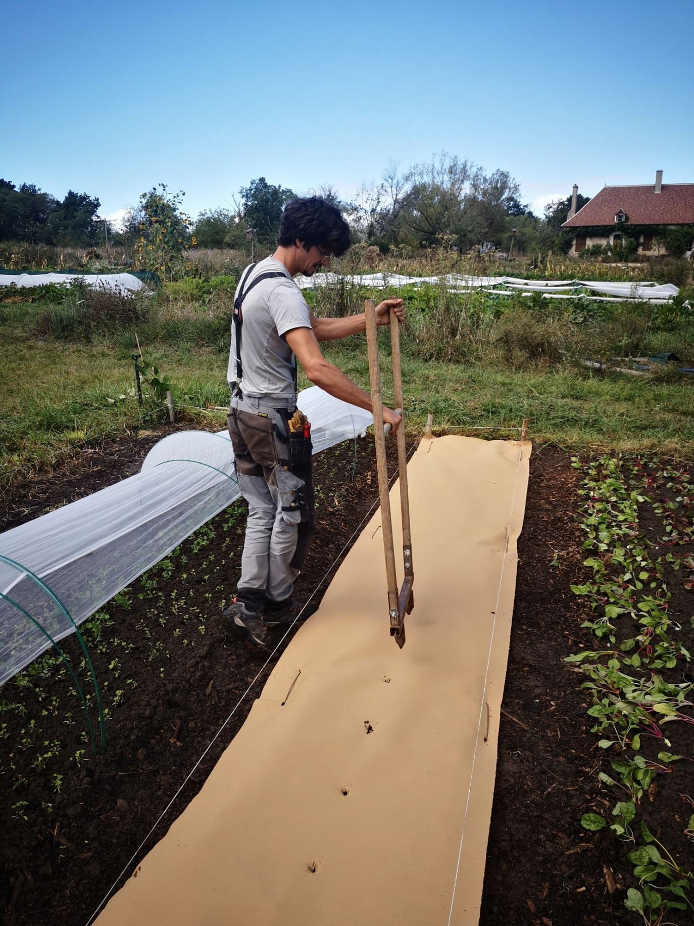 La cordeline PrimePlant Mulch, Kraftpapier, Rolle, 0,9 x 20 m, natürliches Mulchen, verhindert Unkraut, atmungsaktiv