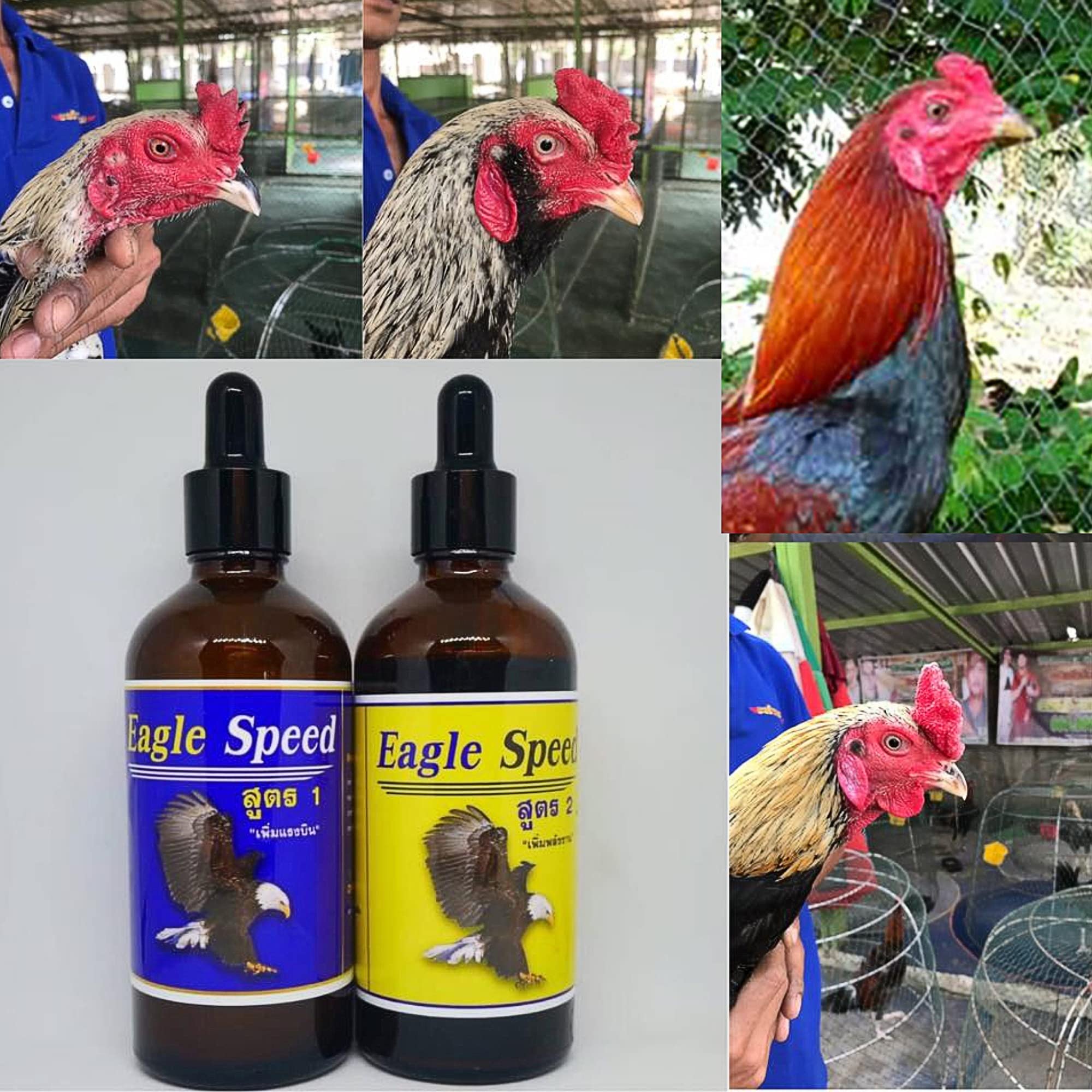 SPEED SUPER NANO DROP 35 ML. Essential Amino Acids Rooster Booster