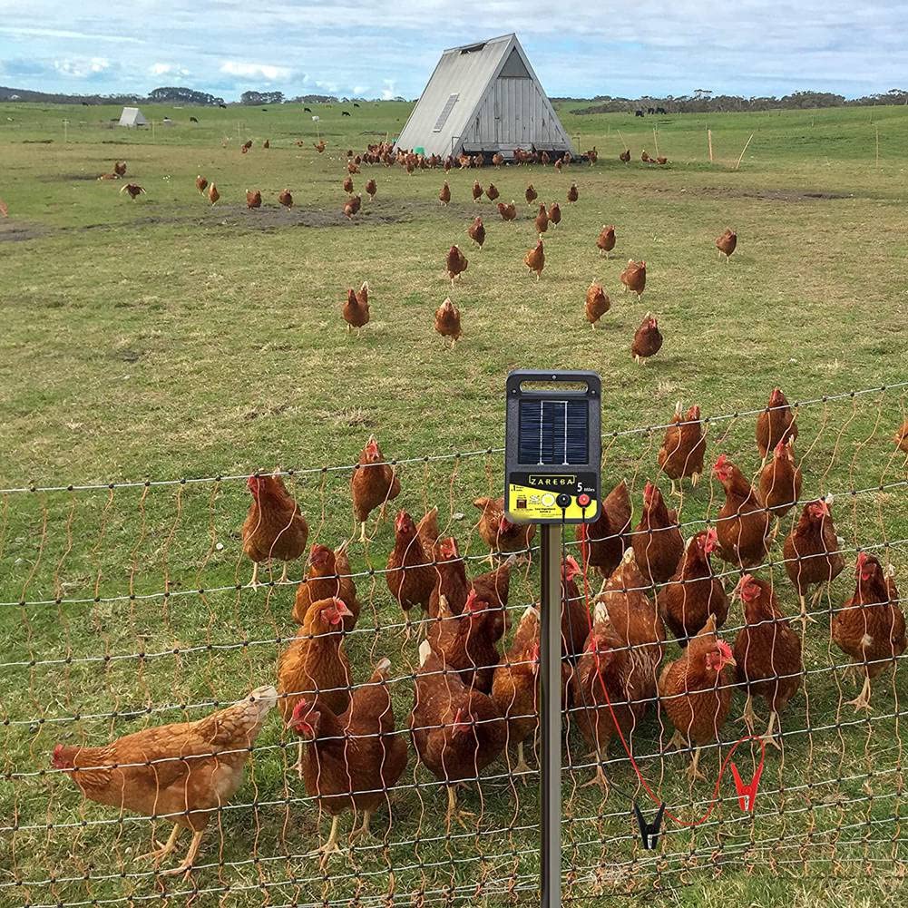 Stroagymoon Electric Fence Wire Connect The and Electric Fence Charger, Electric Fence, Electric Fence Lead Wire with Alligator Clip - Image 2