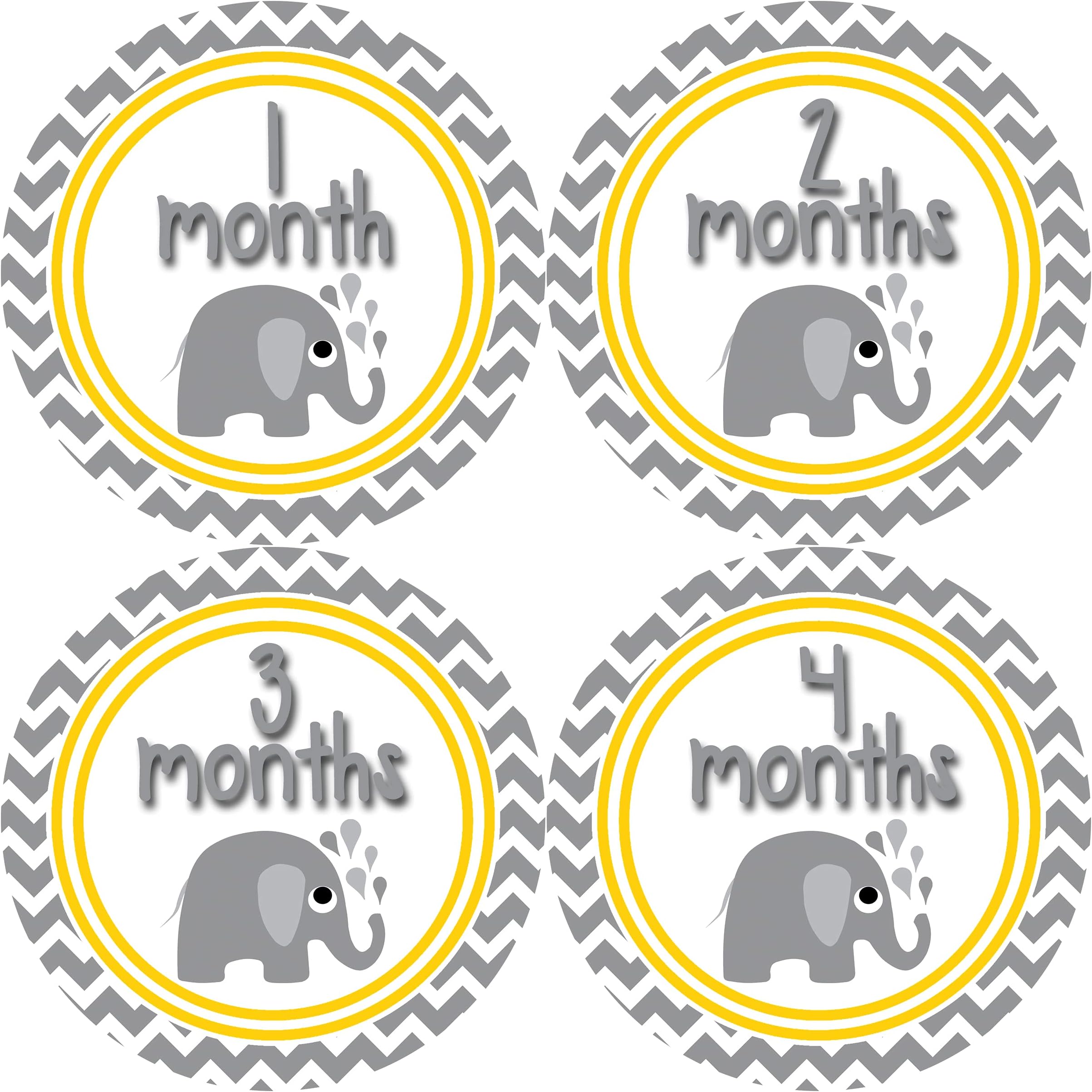 Months In Motion Gender Neutral Monthly Baby Milestone Stickers Unisex Boy or Girl