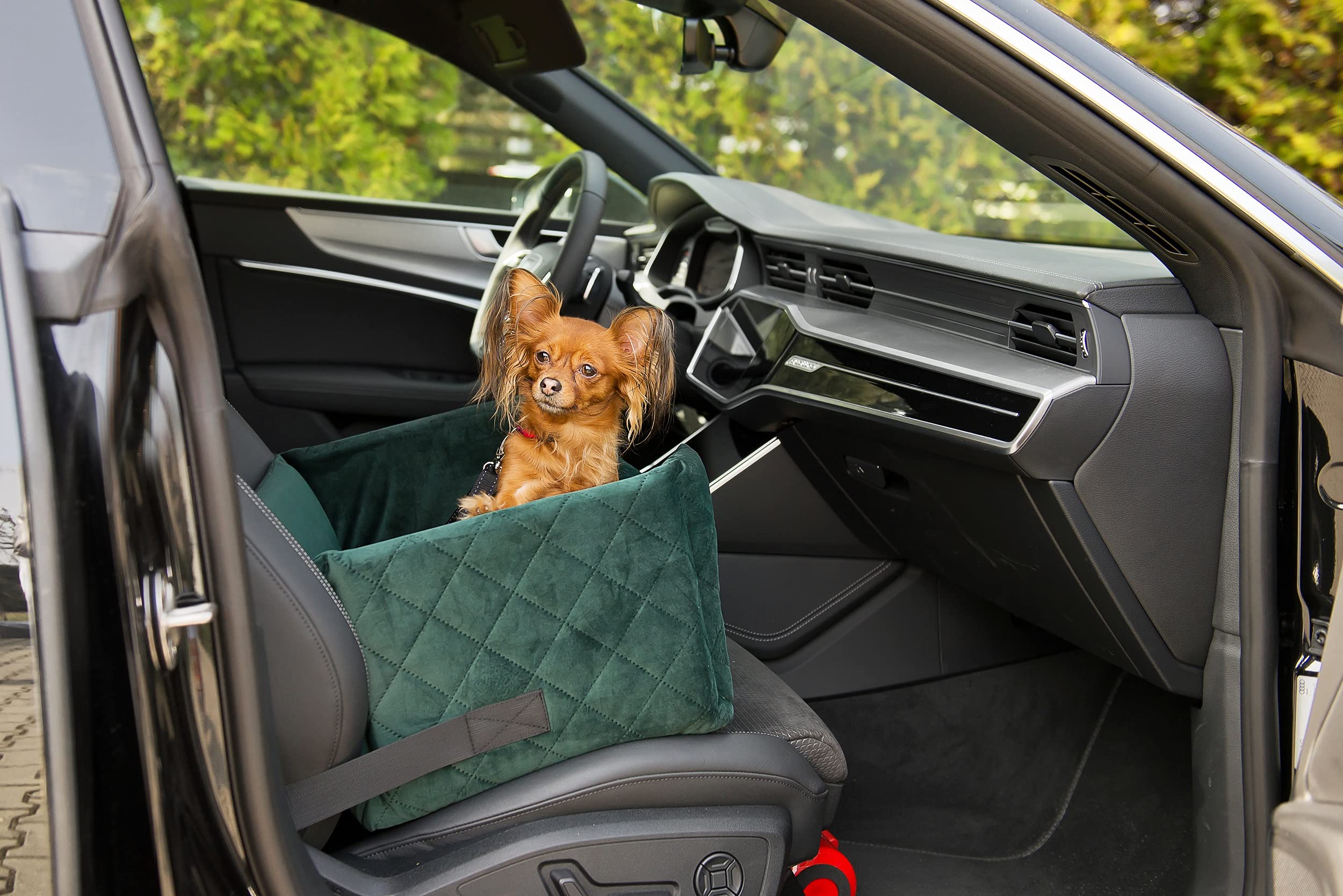 Exclusive Hunde Autositz | Autositz für Hunde, Katzen, Haustier | Rückbank, Beifahrersitz | Hundebett, Hundetasche | Wildlederimitat, Velvet | Farbe: Grün | Große: L (57x50 cm)