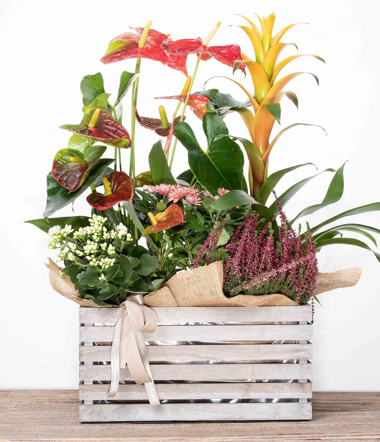 Genérico AMBORELLA | Caja de madera con plantas variadas de temporada | Entrega Rápida y Cuidada | Con Tarjeta de Dedicatoria Personalizada | Ideal para Regalo Sorpresa | Flores a Domicilio