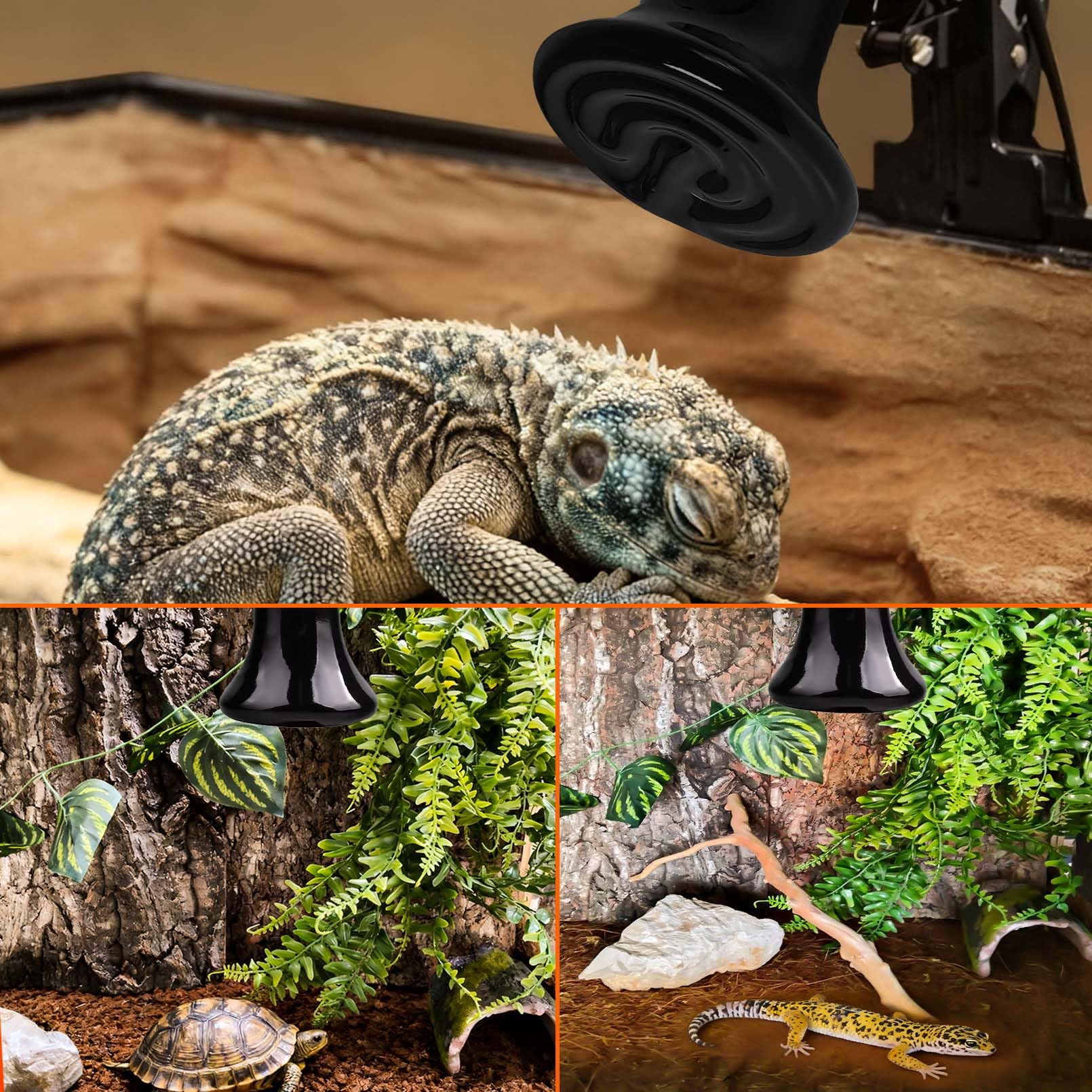 BNOSDM Reptile 100W Ceramic Heat Emitter,4 Pack Reptile Heat Lamp Bulbs,Ceramic Heat Lamp,Brooder Coop Heater for Amphibian Reptile Lizard Turtle Chicken - image 7