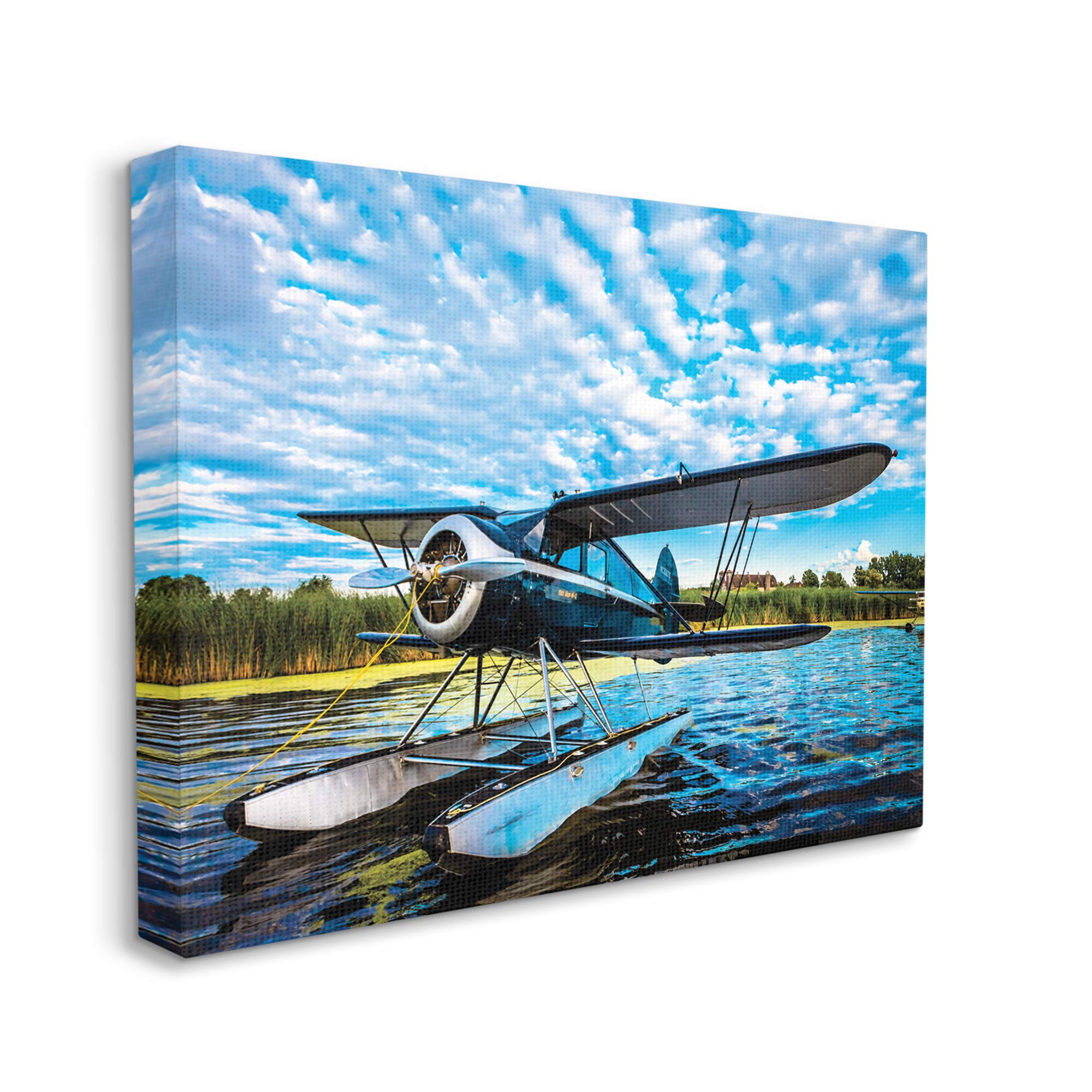 Stupell Industries Sea Plane on Wooded Lakefront Cloudy Sky, Designed by John Slemp Canvas Wall Art, 24 x 30, Green