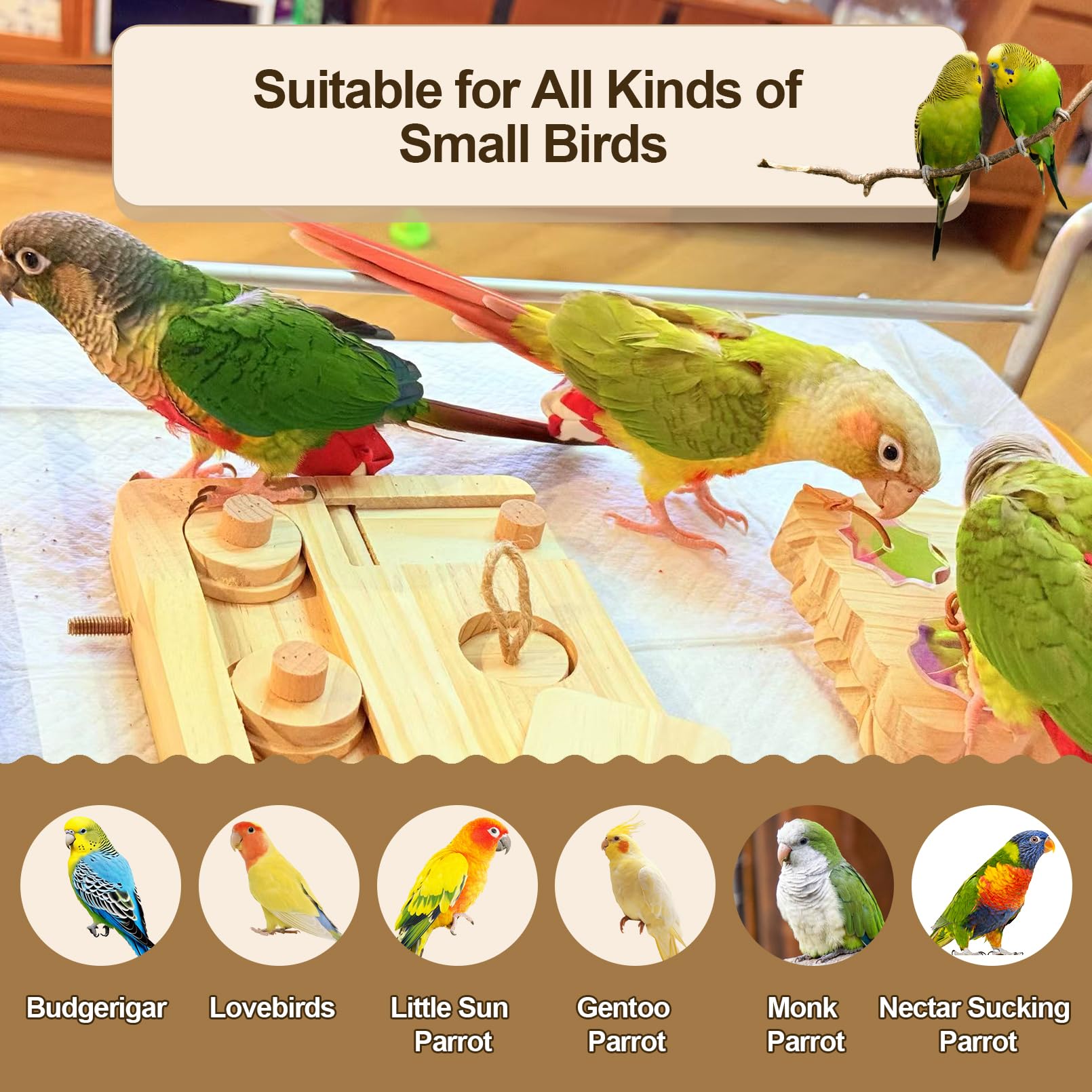 2PCS Wooden Bird Foraging Puzzle Toys Interactive Parakeet Enrichment Foraging Toy for CageBird Slow Feeder Parrot Chewing Toy for Pets, Bird Perches Stand for Sun Conure and Small Sized Birds - image 7