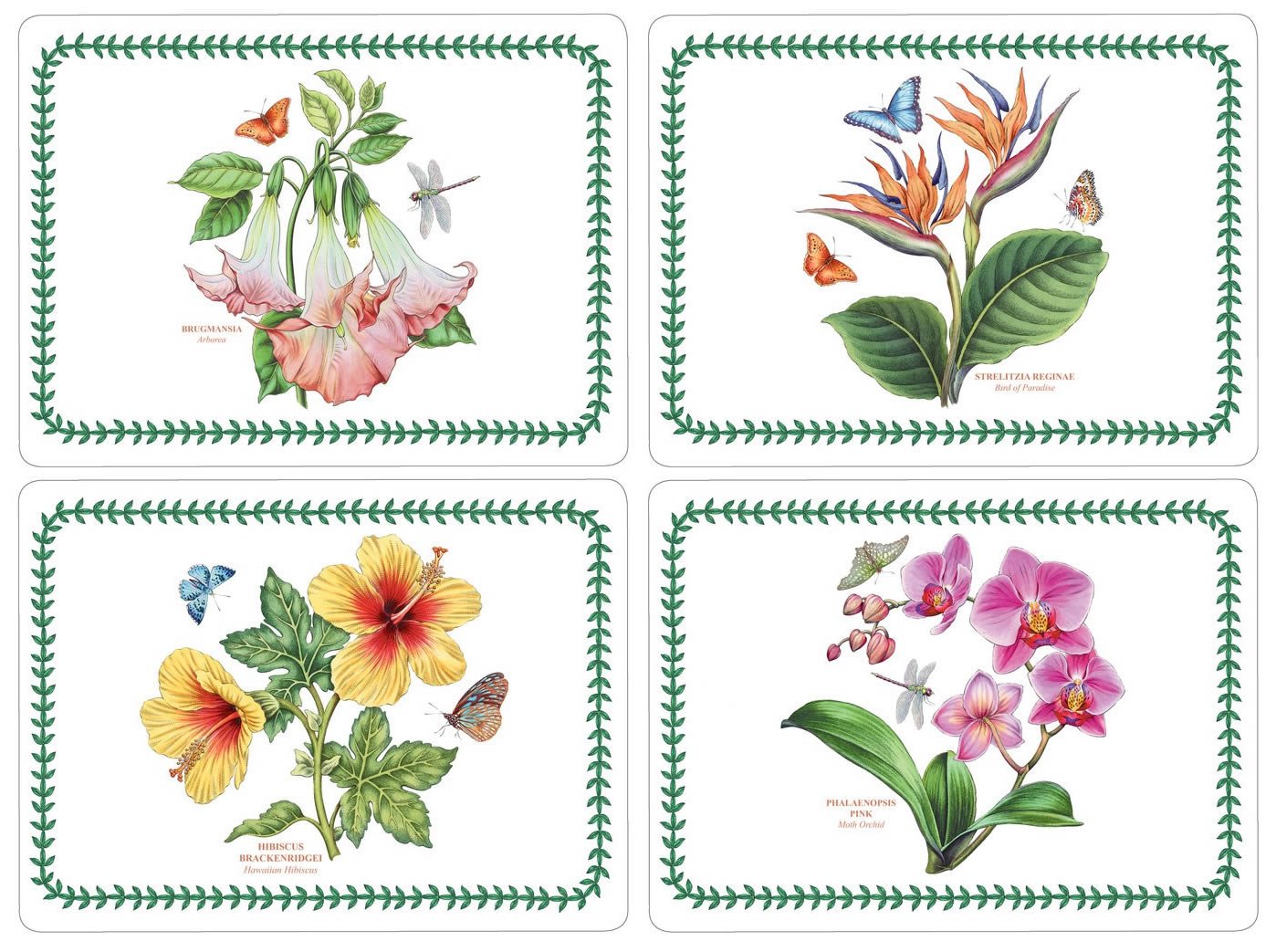 Pimpernel-Portmeirion Multicolor Pimpernel Exotic Botanic Garden Placemats - Set Of 4 (Large)