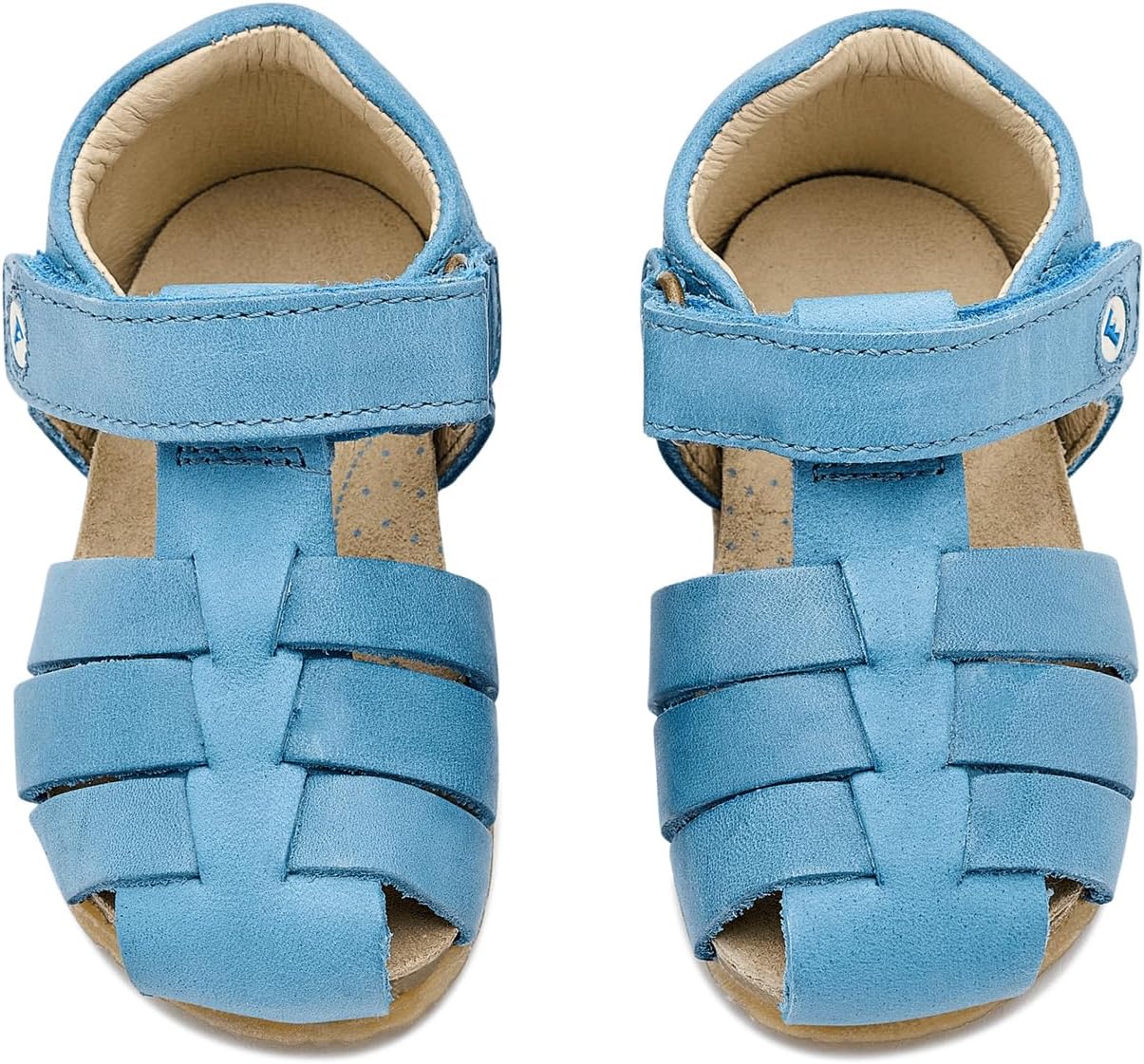 See (Toddler/Little Kid)