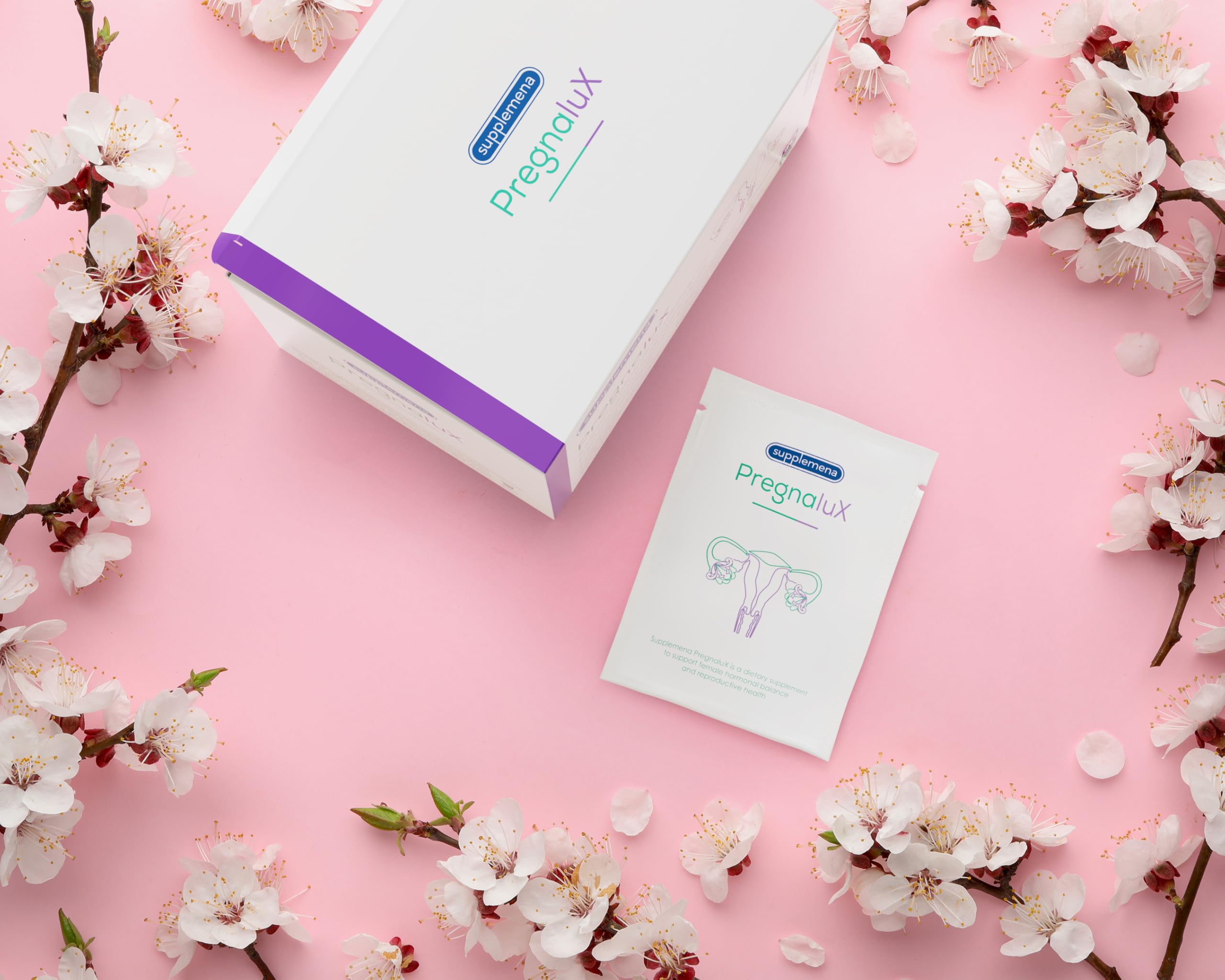 PregnaluX | Myo Inositol Powder | Fruchtbarkeit & Zyklus regulieren | Kinderwunsch-Vitamine mit L-Arginine, CoQ10 & Zink | Weibliche Unterstützug | 1 Monat