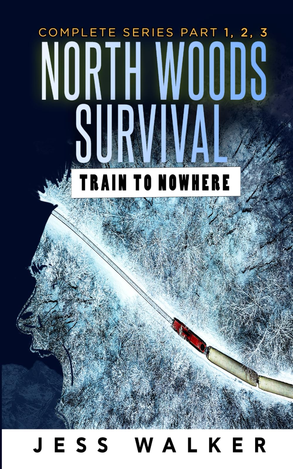 North Woods Survival: Train to Nowhere (North Woods Survival Series)