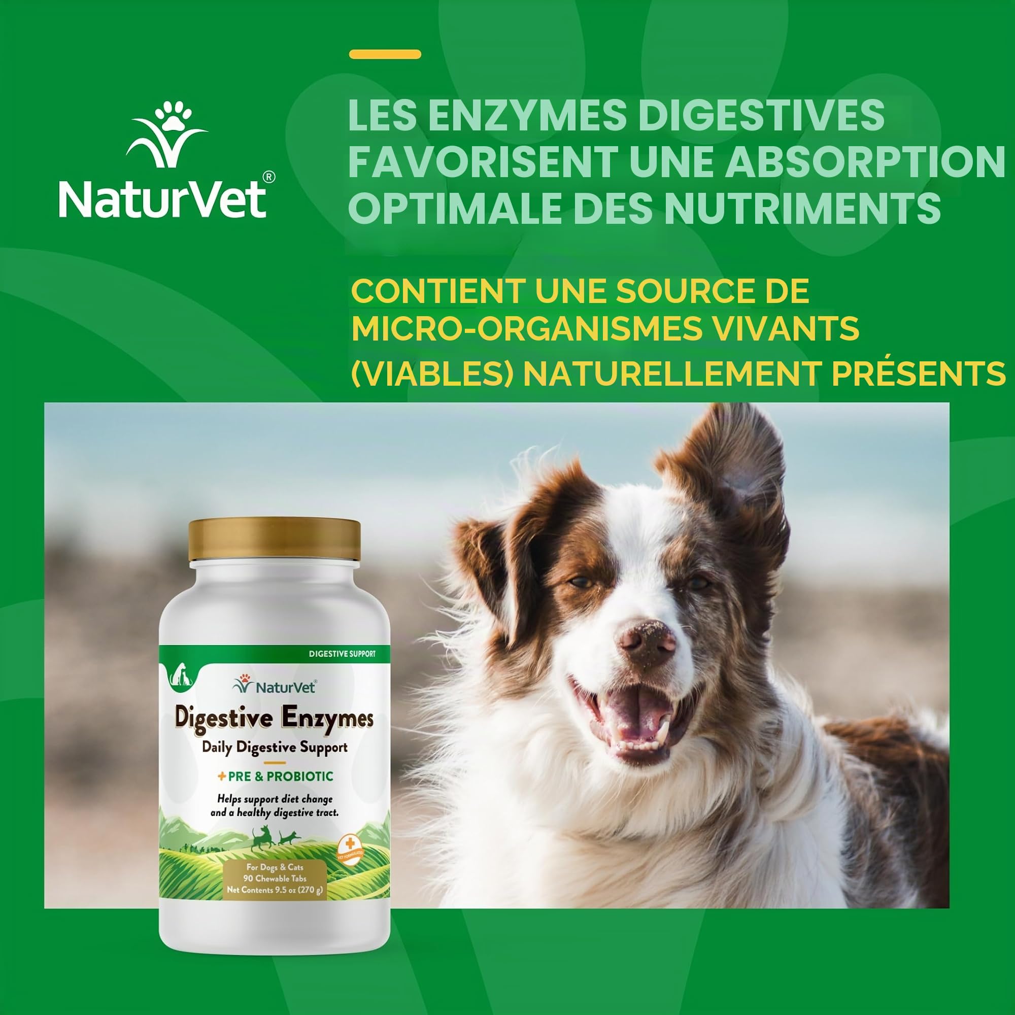 NaturVet Digestive Enzymes Plus Probiotiques Complément Alimentaire pour Chiens, à mâcher Doux, fabriqué aux États-Unis avec des ingrédients d'origine Mondiale 90 pièces