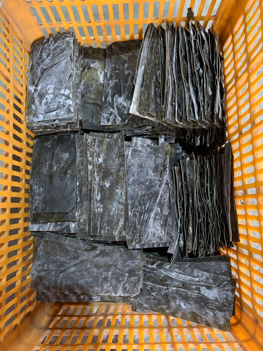 Seetang Laminaria Factory Direct Getrockneter Kelp Kombu Blatt Seetang Laminaria 500g/Beutel