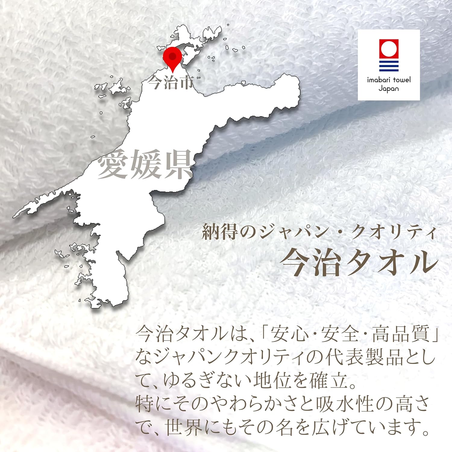 TOWEL COMPANY 今治タオル ハンカチ 22×22cm ギフト 刺繍 花 ボタニカルガーデン BOTANICAL GARDEN (バラ（クリーム）)