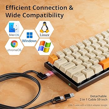 81wVftI8hIL._UF350,350_QL80_.jpg