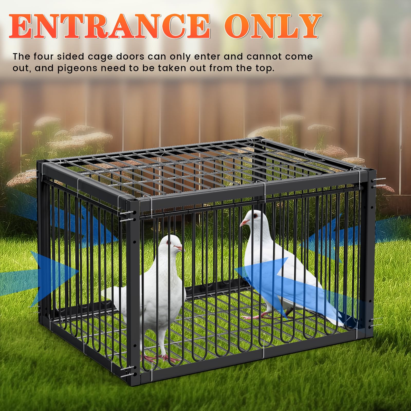 Jaula para palomas, 40 cm, con diseño de entrada numérica y especial para atrapar palomas, pájaros u otros animales pequeños, resistente y duradera, incluye 100 unidades de ataduras, negro