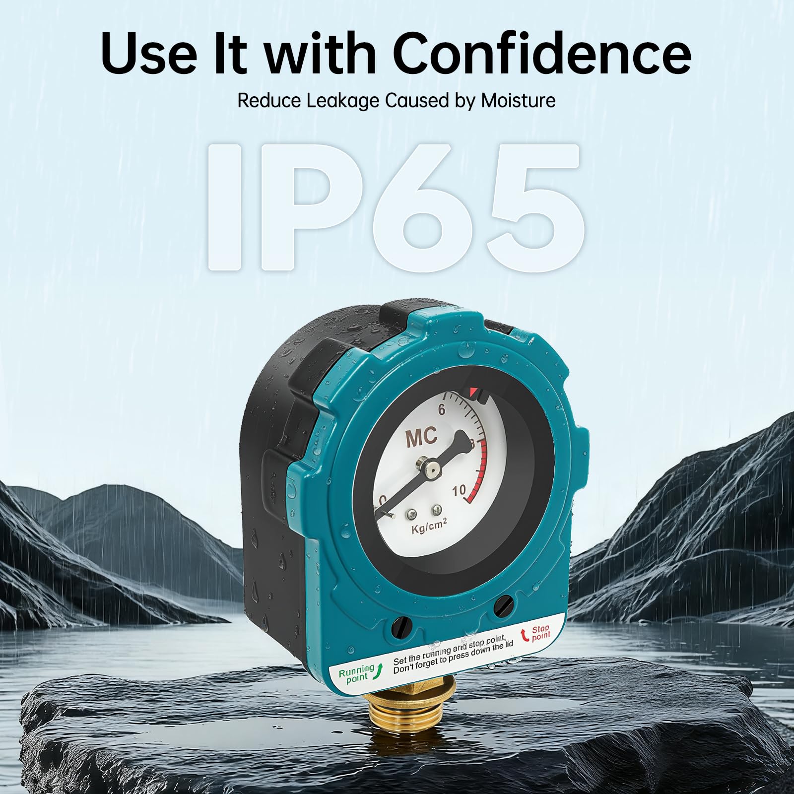 Pompa di controllo 220 V, interruttore a pressione, per impianto di acqua domestica, interruttore a pressione 0~10 bar, pompa di controllo della pompa, interruttore a pressione (blu NPT1/2")