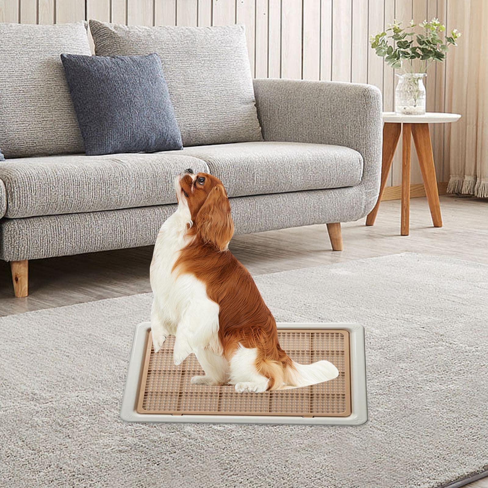 Bac à Litière pour Chat, Aide à L'apprentissage de La Propreté pour Chiens, Facile à Nettoyer, en Polypropylène, avec Grille Amovible, Con, Café au Lait