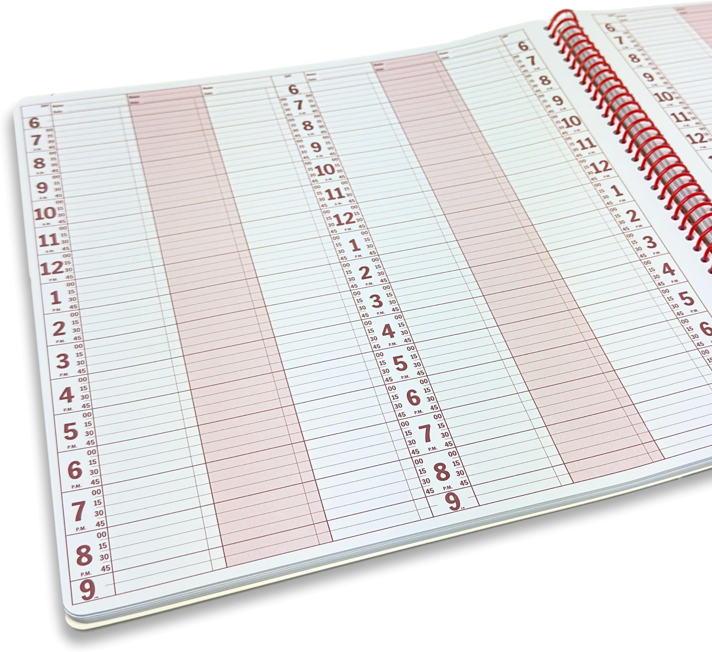 - Portage Notebooks Appointment Book - Large 12.75" x 13.5" Undated Planner for Daily Scheduling - 6 Column Professional Daily Planner Undated for Office, Home, or Salon Use