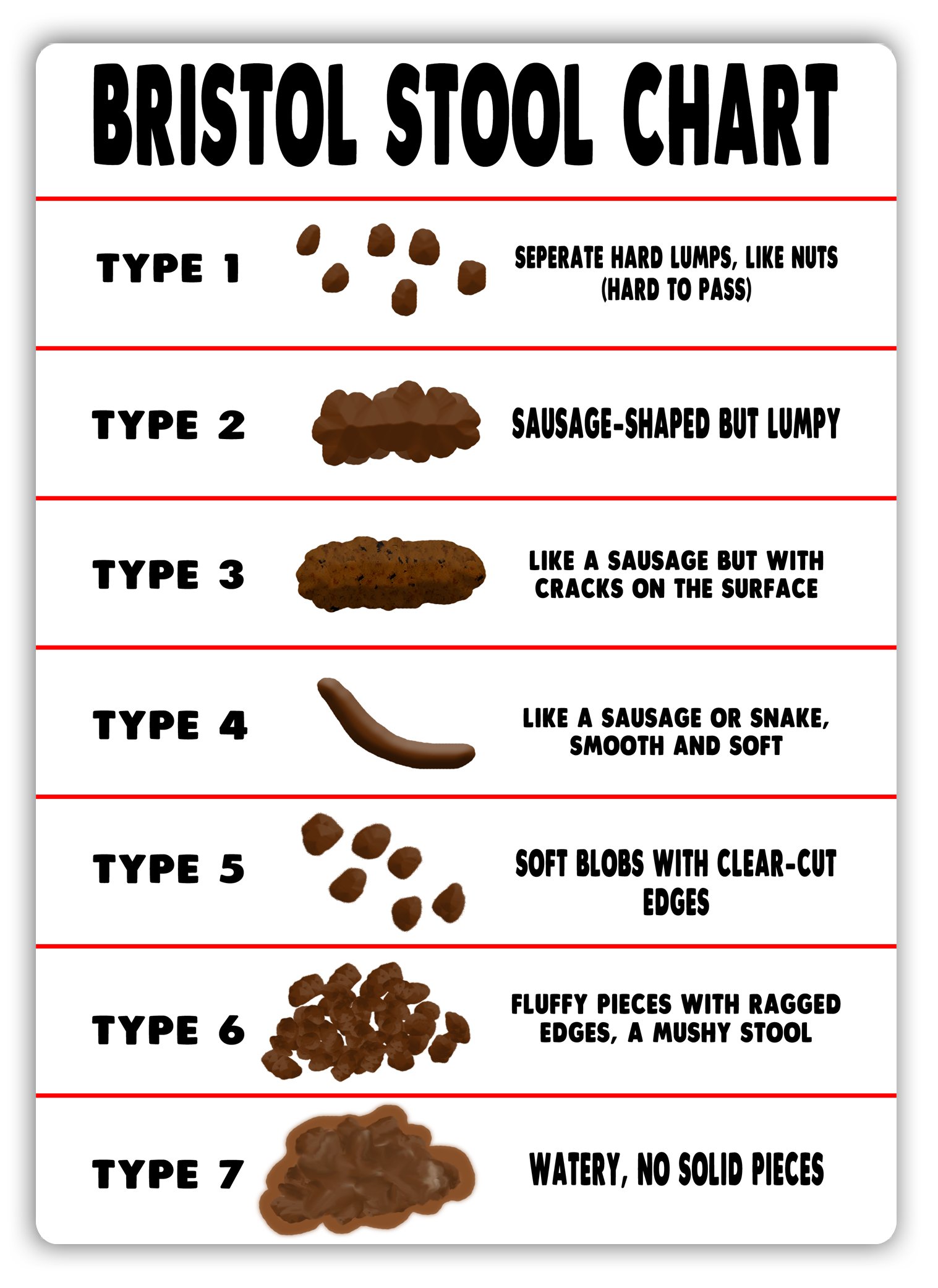 Bristol Stool Chart With Excrement Description And Types Outline