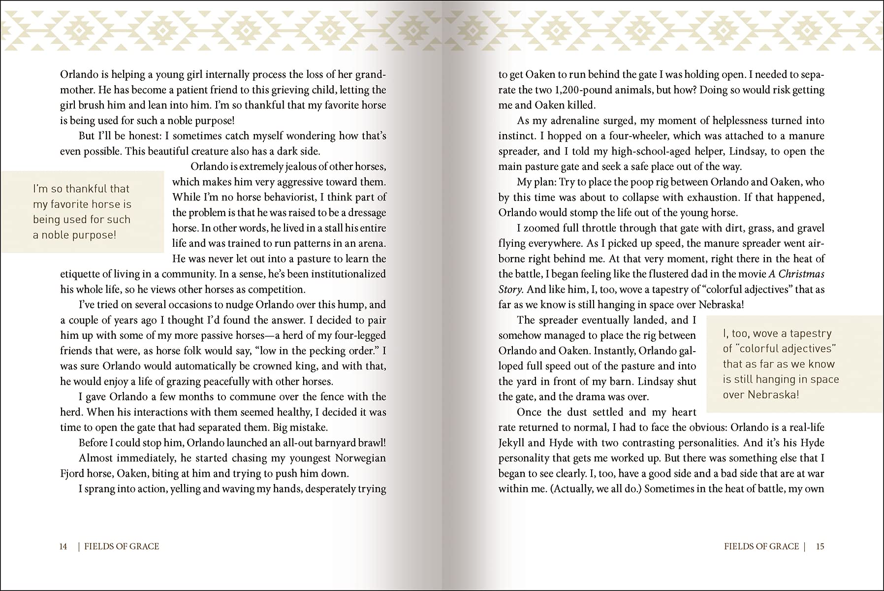 Fields of Grace: Sharing Faith from the Horse Farm - Image 3