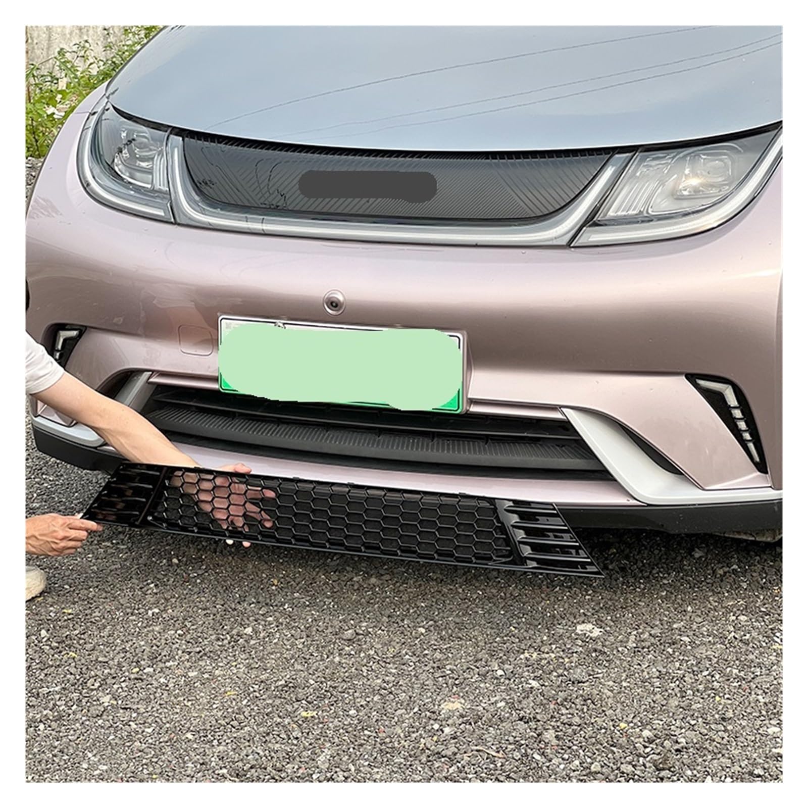 Amazon | Lanliuhui store BYD と互換性ドルフィンと互換性フロント 