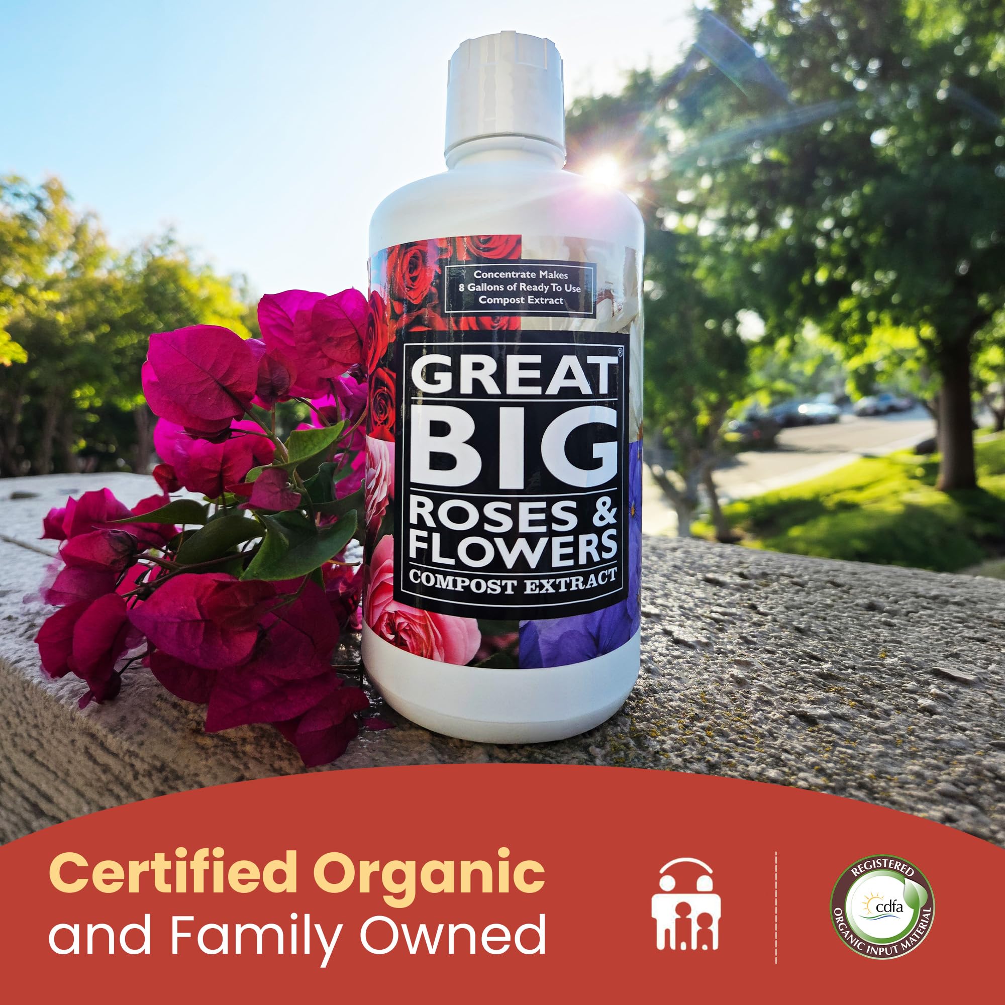 Amazon.com : Great Big Roses – Soil and Rose Fertilizer Booster to